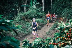 BIB: 
                            <button type="button" onclick="openModal(25797297)" class="btn btn-primary btn-sm float-right btn-popup" data-toggle="modal" data-target=".modal-high-quality">
                        <i class="fas fa-shopping-cart"></i> Add to Cart
                    </button>
                                            <button type="button" onclick="isThisMe(25797297, true)" class="btn btn-success btn-sm float-right btn-popup btn-isme hidden" data-toggle="tooltip" data-placement="bottom" title="นี่คือรูปของคุณใช่ไหม คลิกที่นี่เพื่อเอาเข้าอัลบั้ม">
                        <i class="fas fa-plus"></i> Add to album
                    </button>
                    <button type="button" onclick="isThisMe(25797297, false)" class="btn btn-warning btn-sm float-right btn-popup btn-isnotme hidden">
                        <i class="fas fa-ban"></i> Remove from album
                    </button>